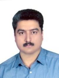 رضا فتحی