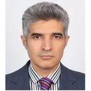 رضا عبودی