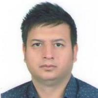 رضا همایی فر