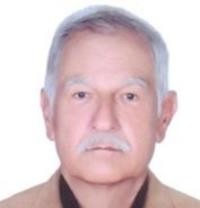 علیرضا رضوان