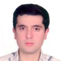 حامد امیری فرد