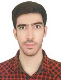 سیدعلی افضلی