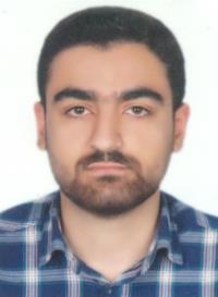 پویا امیران