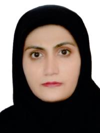 نرگس انصاری