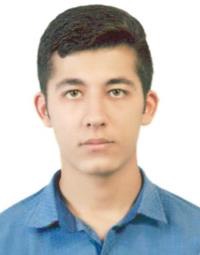 عارف اندیشگر