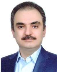 افشین امینی