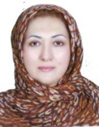 افسونگر حمیدی