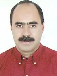 علی رضا زارعی
