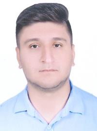 علیرضا چوگانی