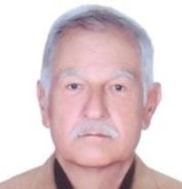 علیرضا رضوان