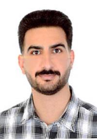 امین زارعی