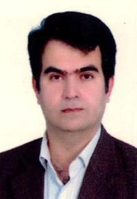 امیر حامدی