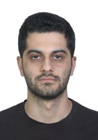 آرین پیروز