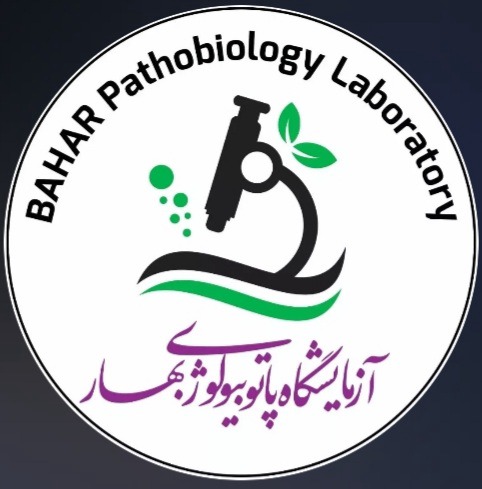 آزمایشگاه پاتوبیولوژی بهار خوی