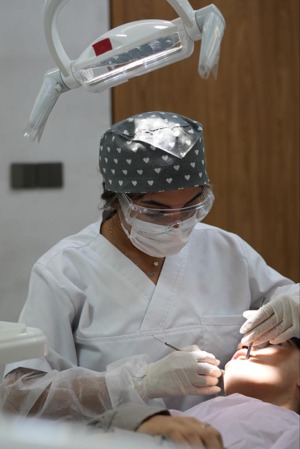 بهار افروزی