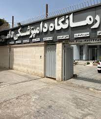 کلینیک دامپزشکی دامون شیراز