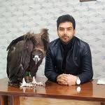 کلینیک دامپزشکی دکتر تارخ شیراز