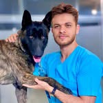 کلینیک دامپزشکی وین یزد