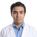هادی محمودی
