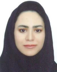 هدی به جو