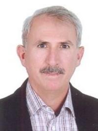 حمید افخمی زاده