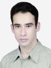 حمید محمدی