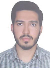 حسین علی بیگی