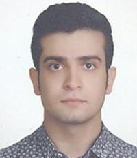 حسین بهاری