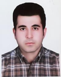 حسین بیگی