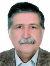 حسین حجتی