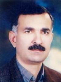 هرمز گرجی مخصوص