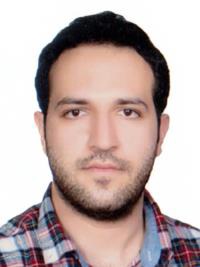 هومن ارین پور