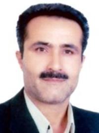 کورش حبیبی