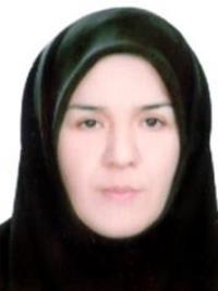 لیلا سبک رو