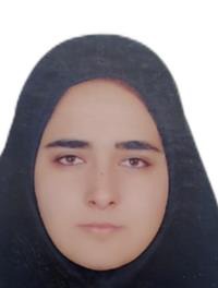 مریم عرفانی زاده