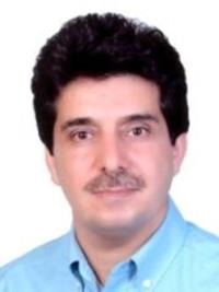 مهدی حمیدی فرد
