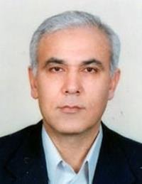 محمدابراهیم پارسانژاد