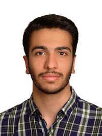 محمدامین عفیفی