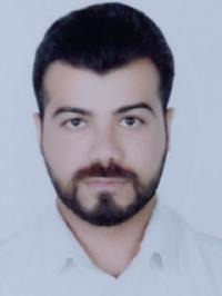 محمدامین انصاری