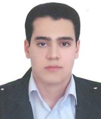 محمدامین ساری خانی