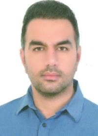محمدهادی هژبری