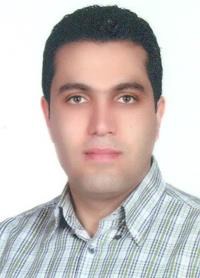 محمدهادی زرین کشت