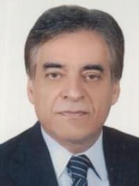 محمدحسین رجبیان