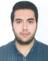 محمدحسین سلامی