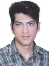 محمدحسن کارگردولت آبادی