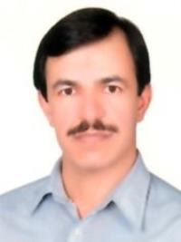 محمدجواد روستا