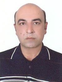 محمدمهدی فرزانه