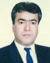 محمدرضا امیری