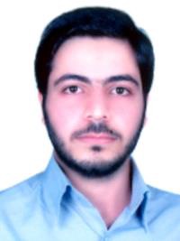 محمدرضا همت پور