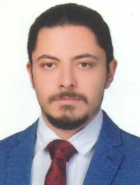محمدرضا رجبی